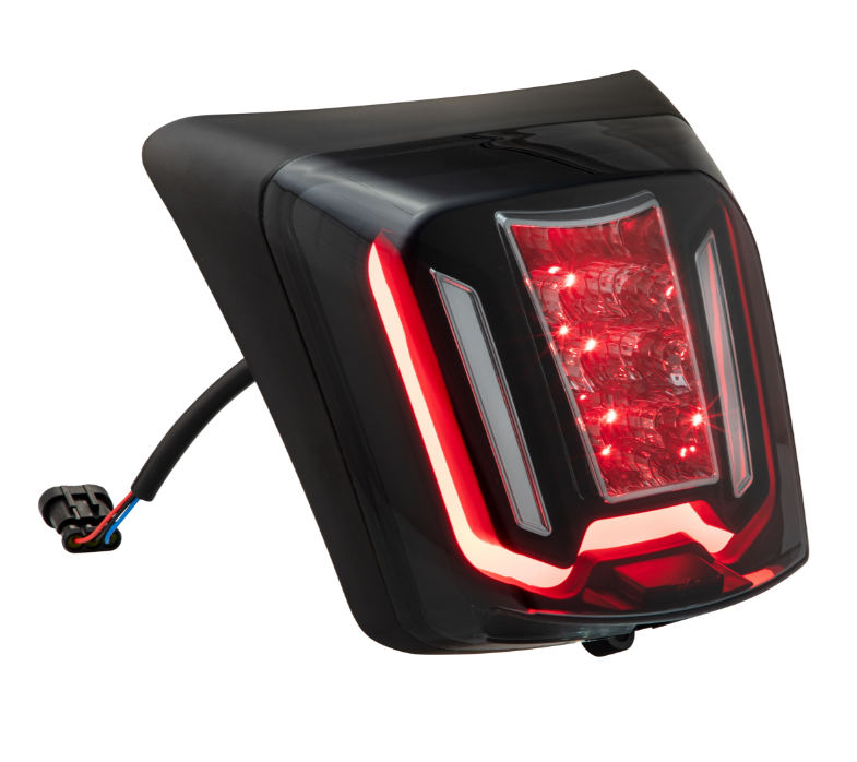 Fanale posteriore ZELIONI per Vespa GTS/GTS Super 125-300cc HPE, colorato