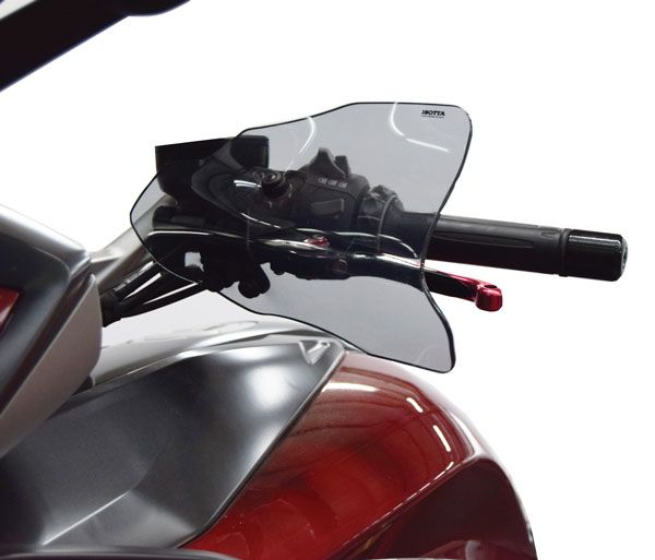 Coppia di paramani per BMW K 1600 GT /GTL (10-16), fumè chiaro