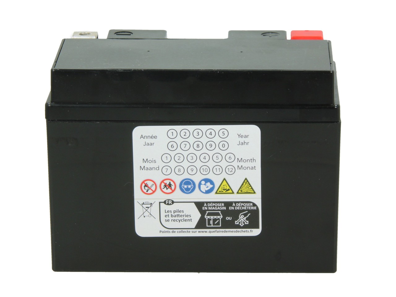 Batteria Sceed24 12 V, 11 A, gel / SLA