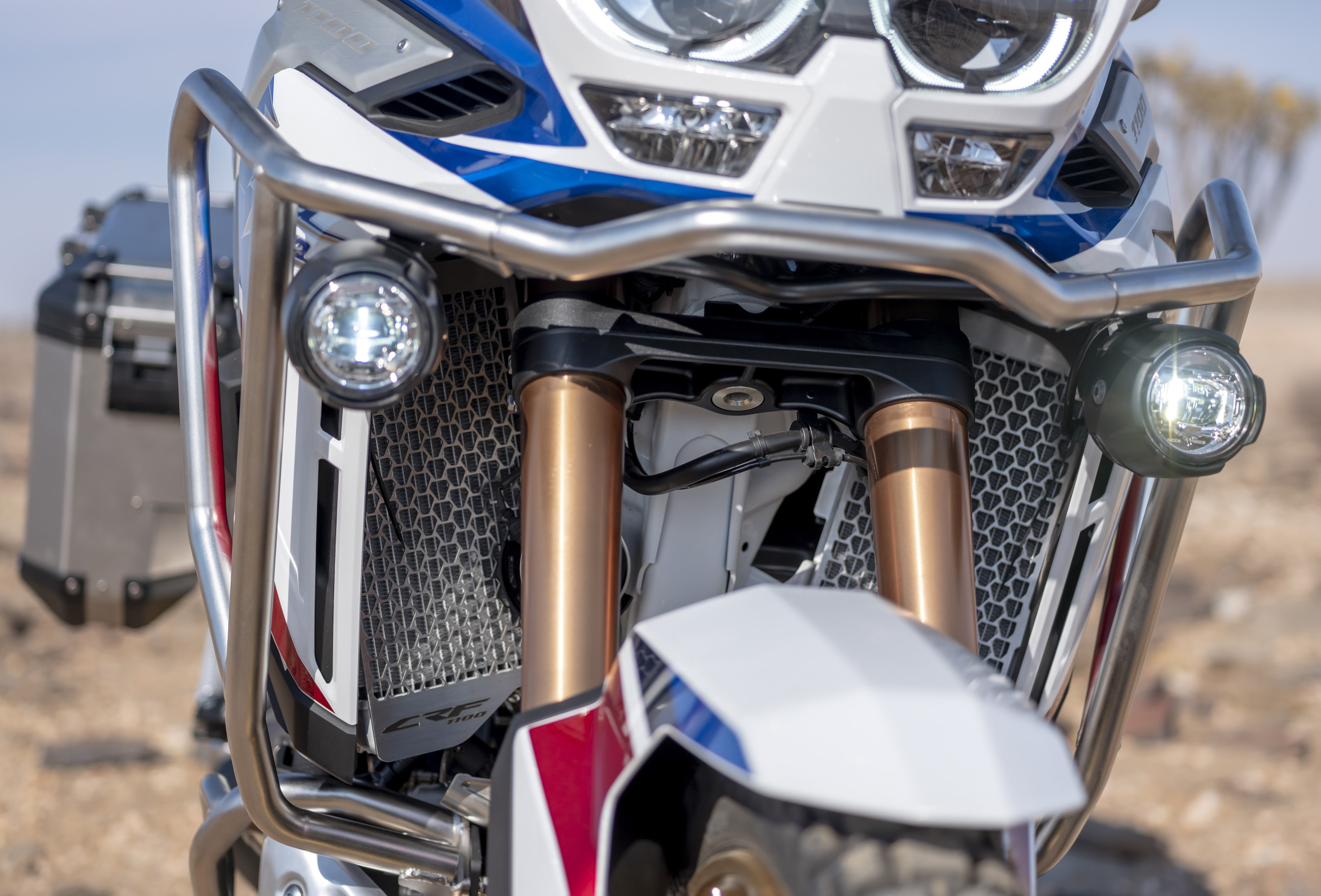 Griglia radiatore in acciaio inox per Honda CRF1100L Africa Twin / Adventure Sports originale 2020-