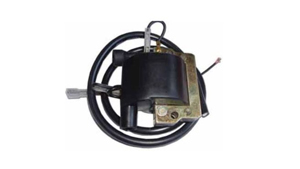 Scatola elettronica ECU/CDI
