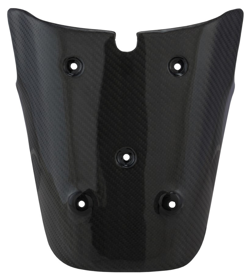 Portatarga posteriore per Vespa GTS/GTS Super/GTV 125-300cc (-'13), Carbonio